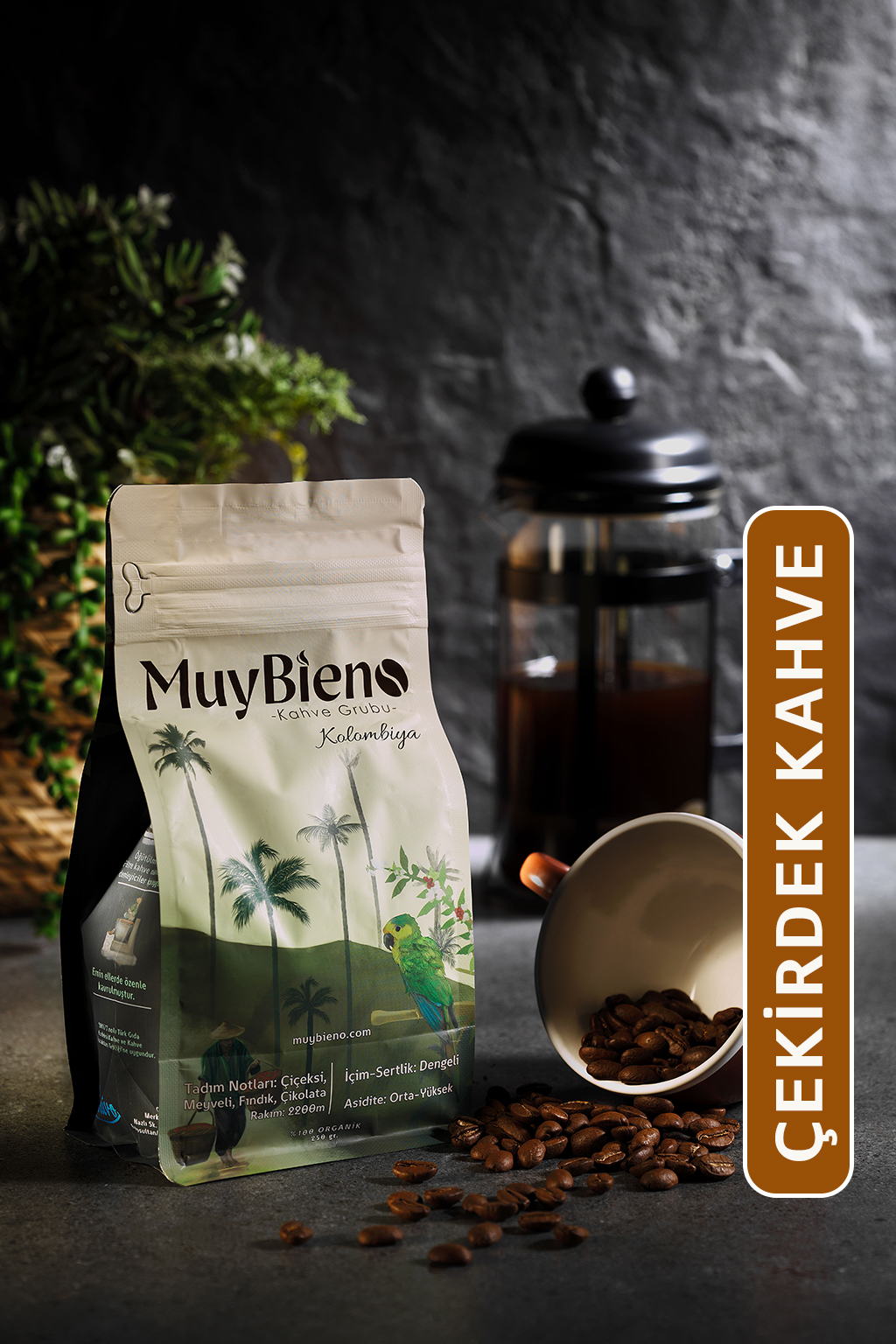 MuyBieno Kolombiya Medellin Supremo 250 gr. Çekirdek Kahve