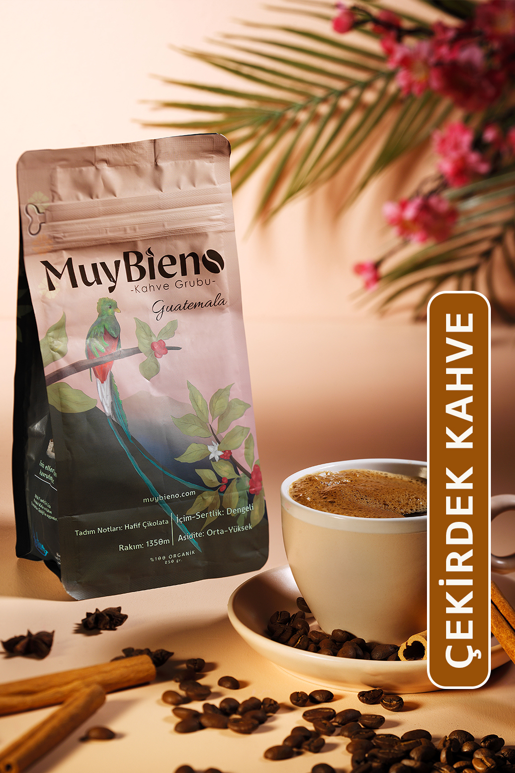 MuyBieno Guatemala Huehuetenango 250 gr. Çekirdek Kahve
